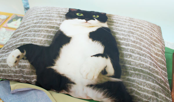 添い寝待ち猫の枕カバー