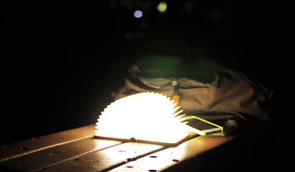 夜の公園を照らすミニルミオプラス