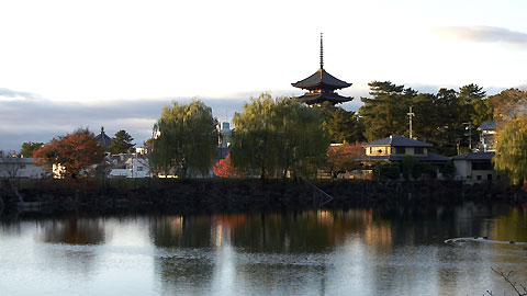 荒池ごしに見る興福寺の五重塔