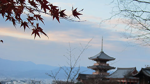 モミジと三重塔