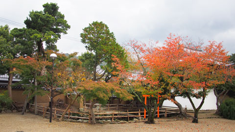 新薬師寺の境内