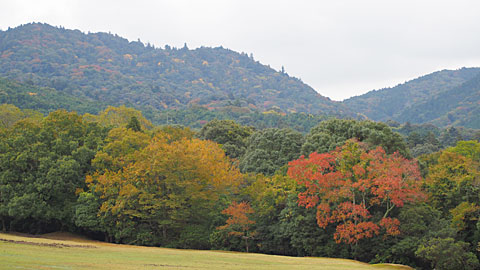 若草山