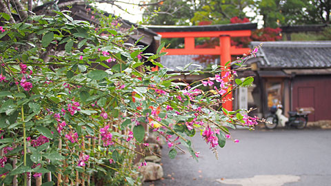 新薬師寺入り口　鏡神社鳥居