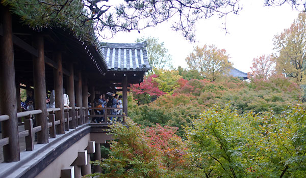 通天橋